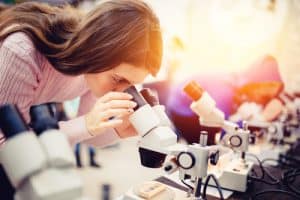 Analysing microscopic organisms